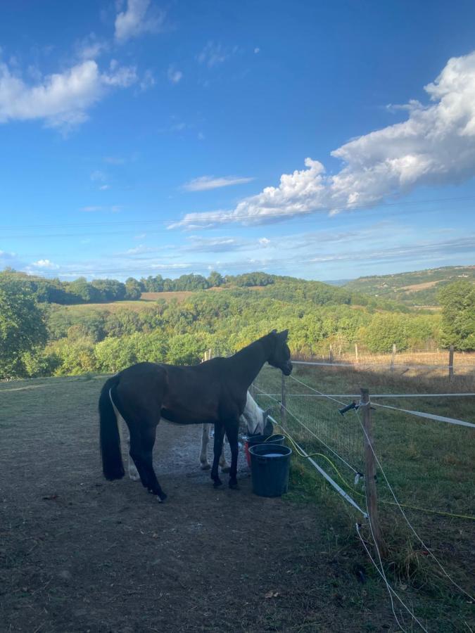 Chez Sophie - Gite Et Gite Equestre Clermont-Dessous Luaran gambar